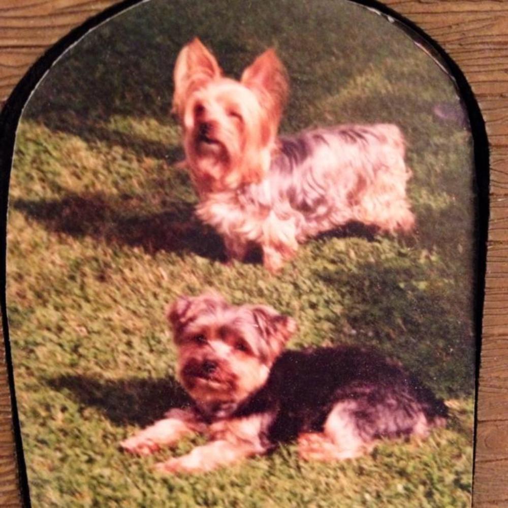 Meet your Posher, Valerie